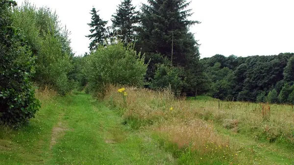 Nørager Skov Naturstyrelsen 